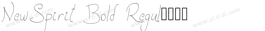 NewSpirit Bold Regul字体转换